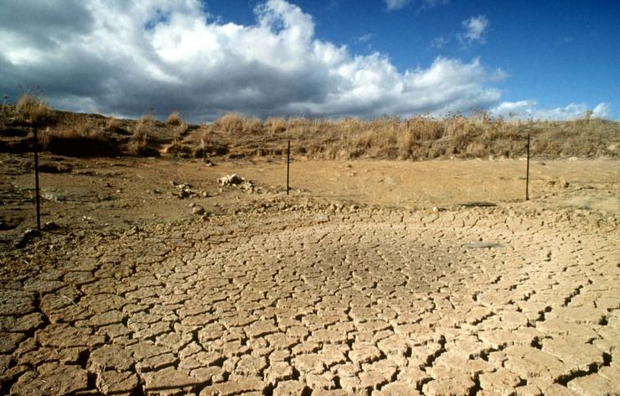 Water scarcity – an annual struggle going forward.